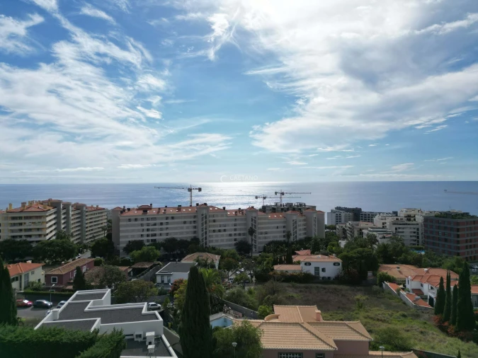 Terreno para Venda em São Martinho Foto 4