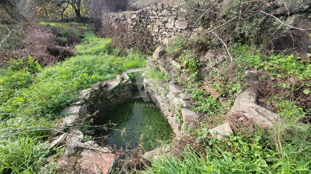 Terreno Agricola ou Rústico para Venda em Sarzedas Foto 16