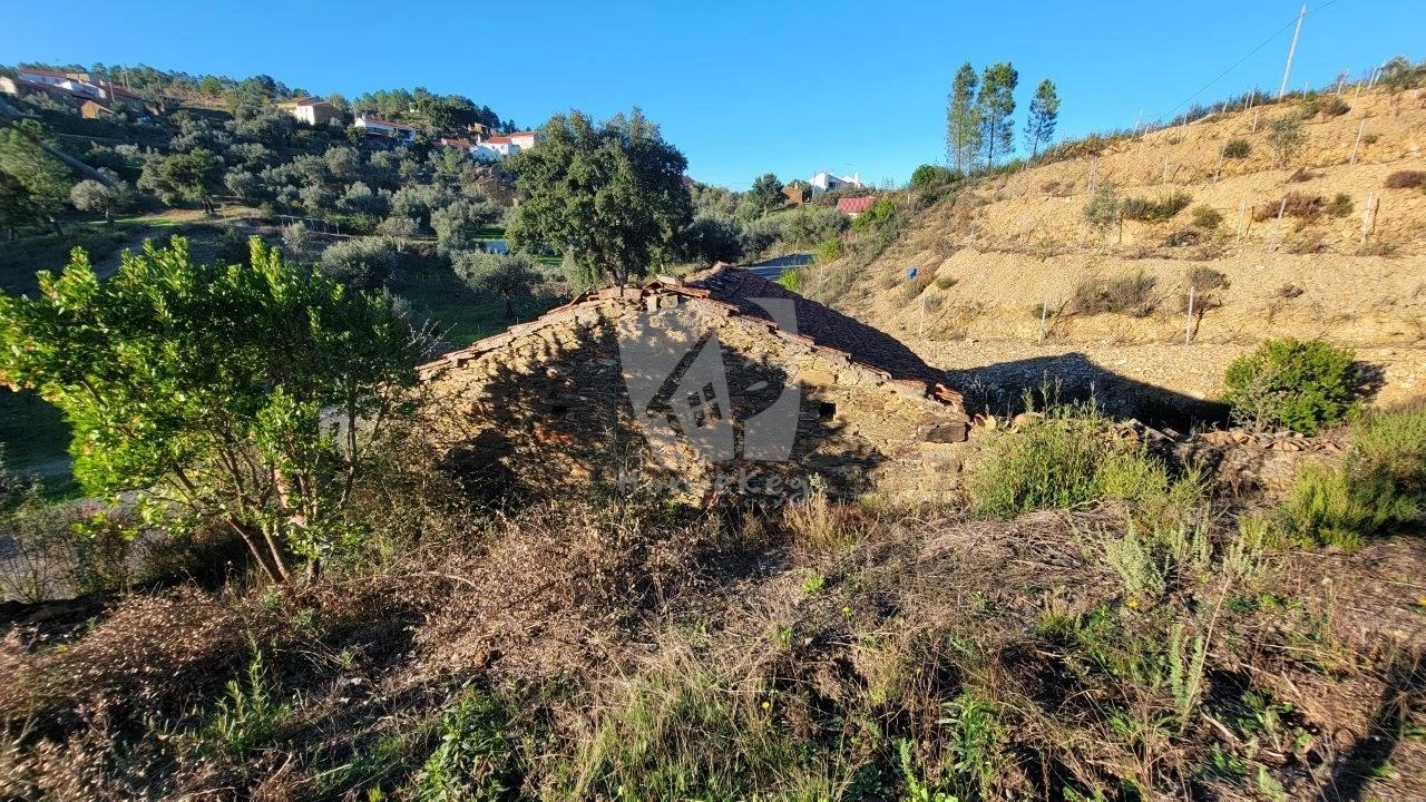 Terreno Agricola ou Rústico para Venda em Sarzedas Foto 10