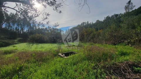 Terreno Agricola ou Rústico para Venda em Sarzedas