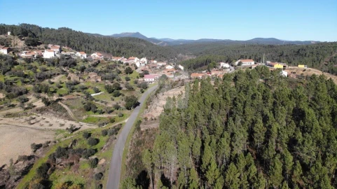 Terreno Agricola ou Rústico para Venda em Sarzedas