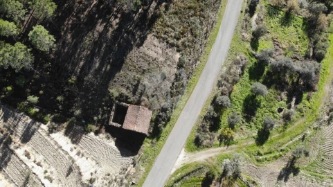 Terreno Agricola ou Rústico para Venda em Sarzedas