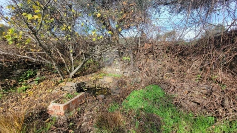 Terreno Agricola ou Rústico para Venda em Sarzedas