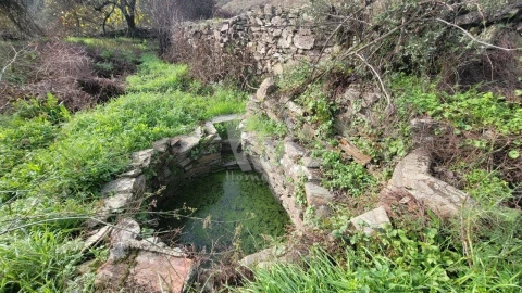 Terreno Agricola ou Rústico para Venda em Sarzedas