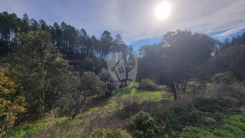 Terreno Agricola ou Rústico para Venda em Sarzedas