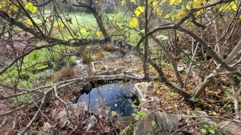 Terreno Agricola ou Rústico para Venda em Sarzedas