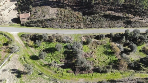 Terreno Agricola ou Rústico para Venda em Sarzedas
