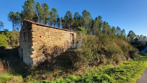 Terreno Agricola ou Rústico para Venda em Sarzedas