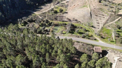 Terreno Agricola ou Rústico para Venda em Sarzedas
