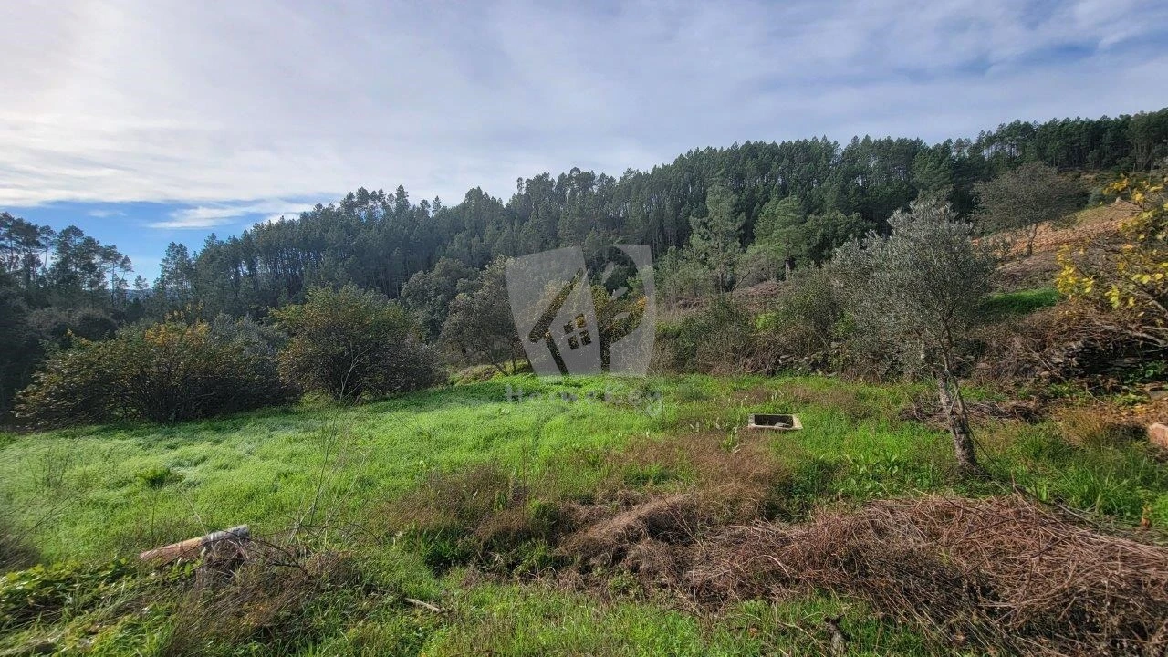 Terreno Agricola ou Rústico para Venda em Sarzedas Foto 22