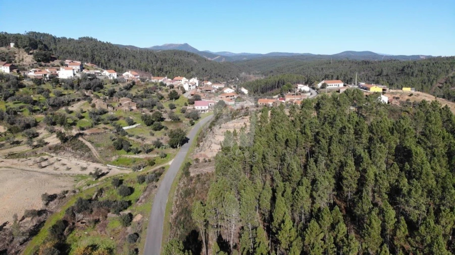 Terreno Agricola ou Rústico para Venda em Sarzedas Foto 33