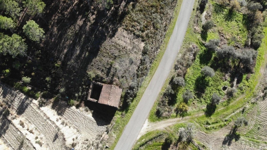 Terreno Agricola ou Rústico para Venda em Sarzedas Foto 31