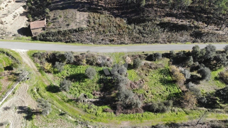 Terreno Agricola ou Rústico para Venda em Sarzedas Foto 32