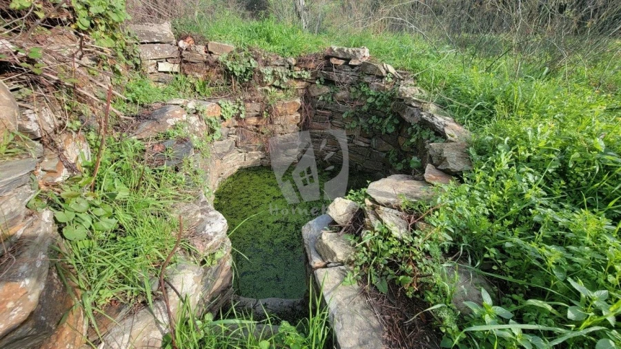 Terreno Agricola ou Rústico para Venda em Sarzedas Foto 2