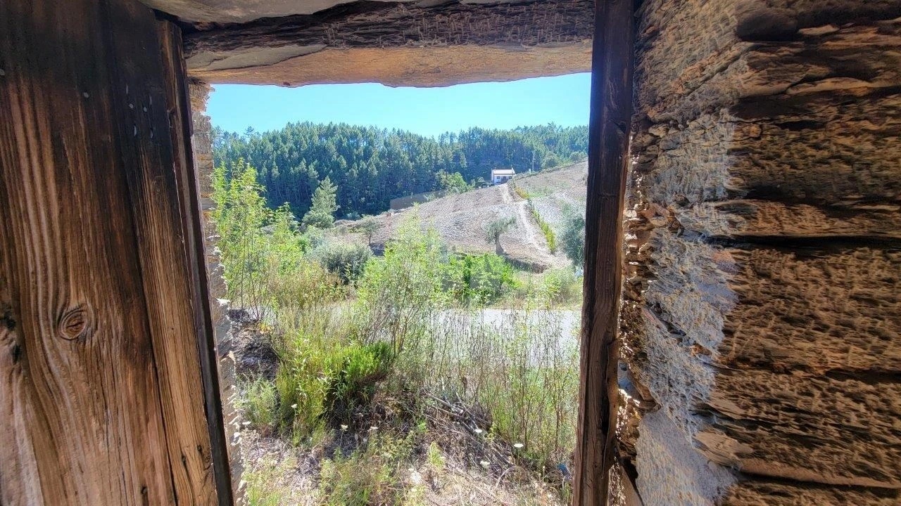 Terreno Agricola ou Rústico para Venda em Sarzedas Foto 3