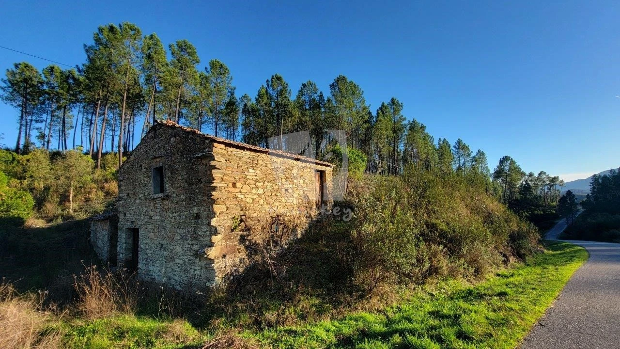 Terreno Agricola ou Rústico para Venda em Sarzedas Foto 1