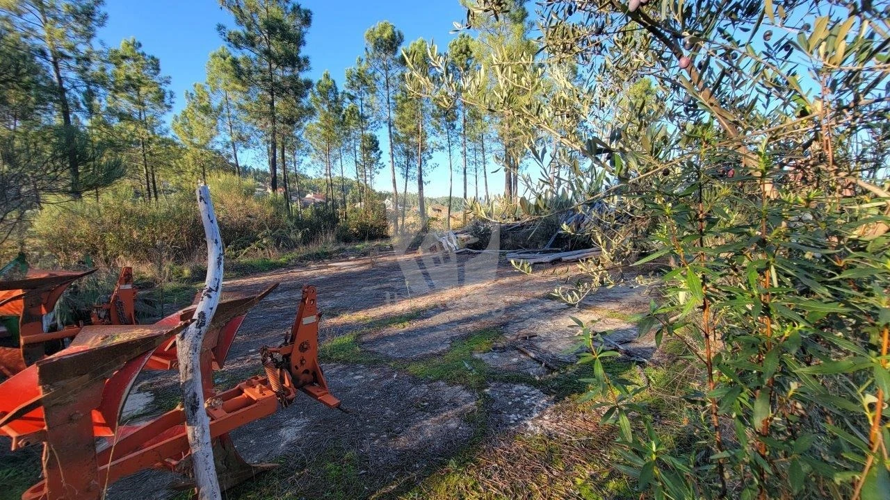 Terreno Agricola ou Rústico para Venda em Sarzedas Foto 26