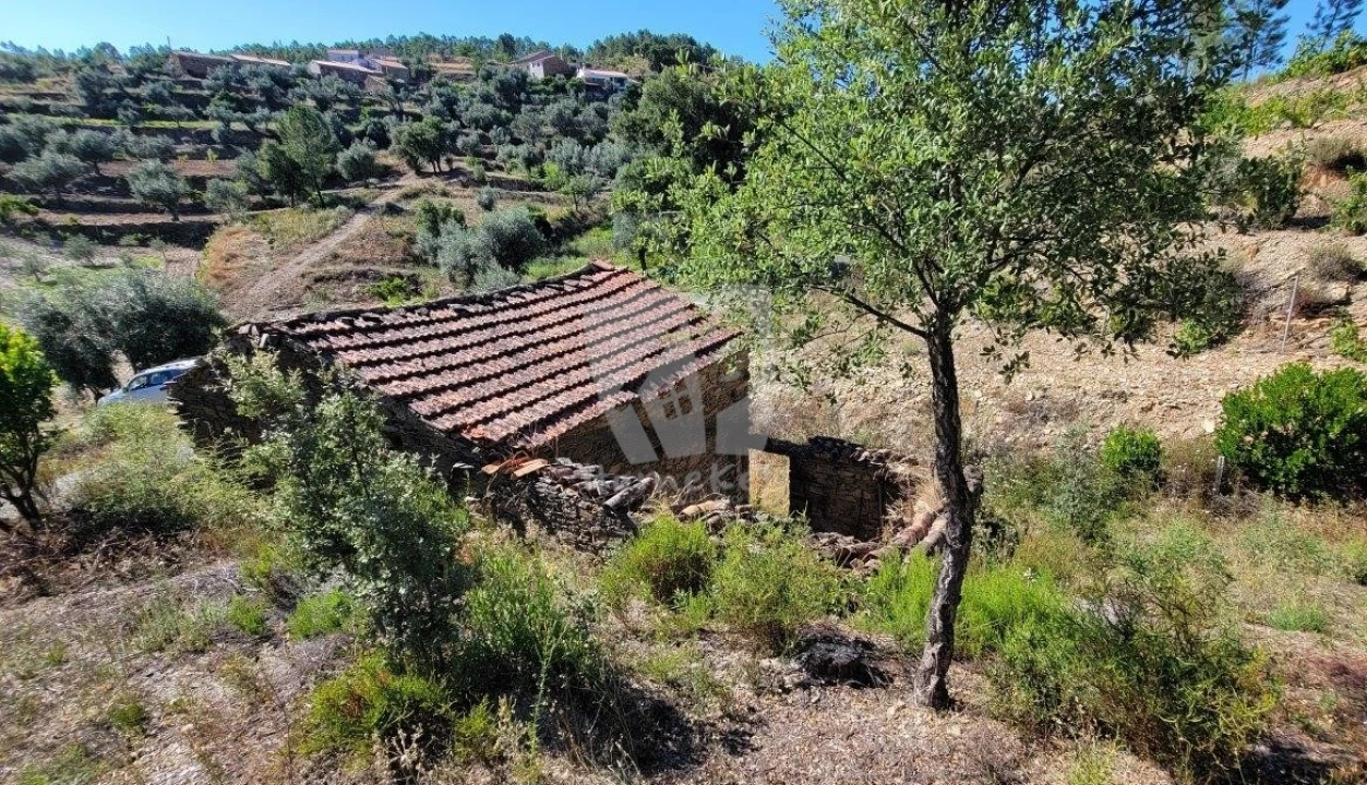 Terreno Agricola ou Rústico para Venda em Sarzedas Foto 4