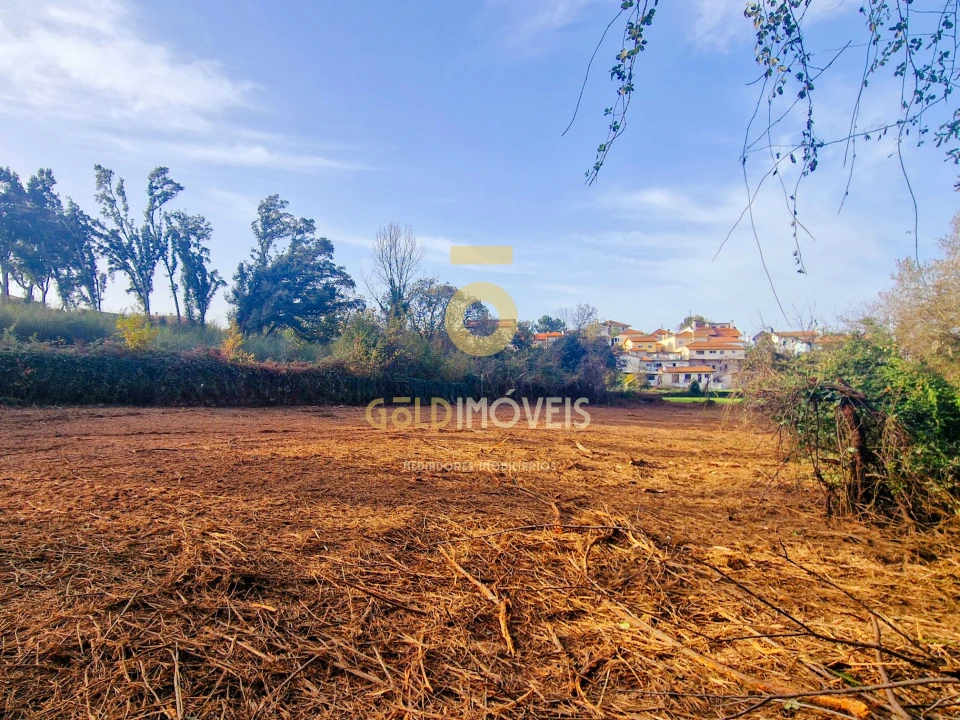 Terreno Agricola ou Rústico para Venda em Vila de Cucujães Foto 7