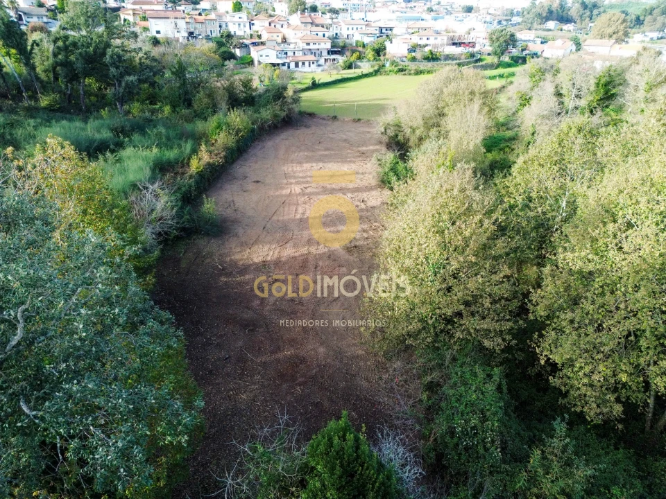 Terreno Agricola ou Rústico para Venda em Vila de Cucujães Foto 6