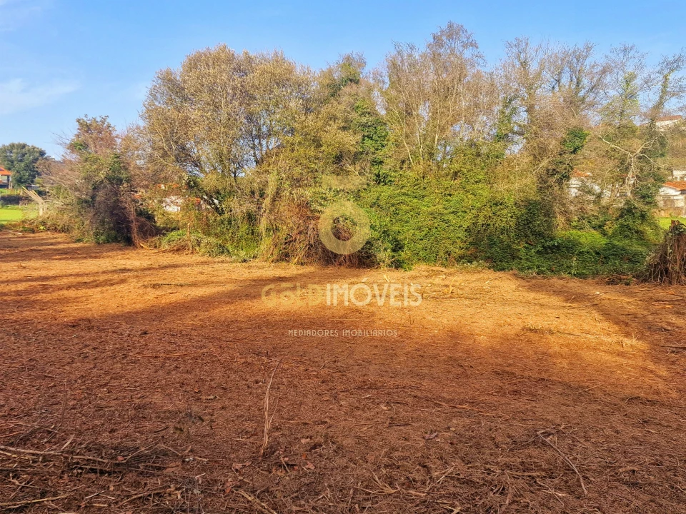 Terreno Agricola ou Rústico para Venda em Vila de Cucujães Foto 10