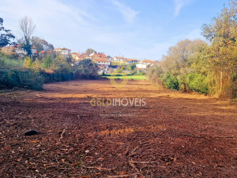 Terreno Agricola ou Rústico para Venda em Vila de Cucujães Foto 12