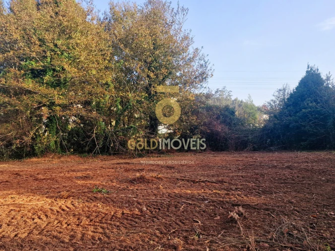 Terreno Agricola ou Rústico para Venda em Vila de Cucujães Foto 8