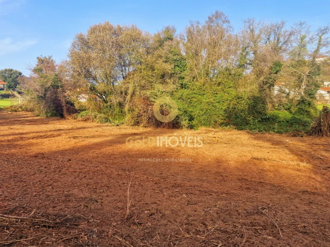 Terreno Agricola ou Rústico para Venda em Vila de Cucujães Foto 10
