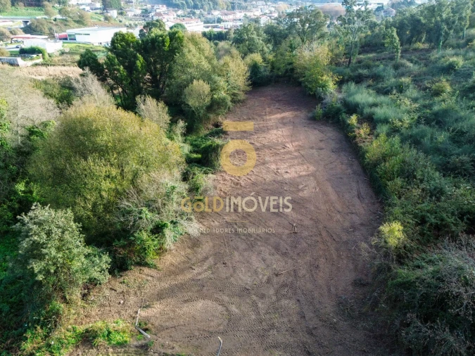 Terreno Agricola ou Rústico para Venda em Vila de Cucujães Foto 5