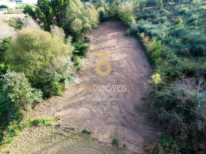Terreno Agricola ou Rústico para Venda em Vila de Cucujães Foto 4