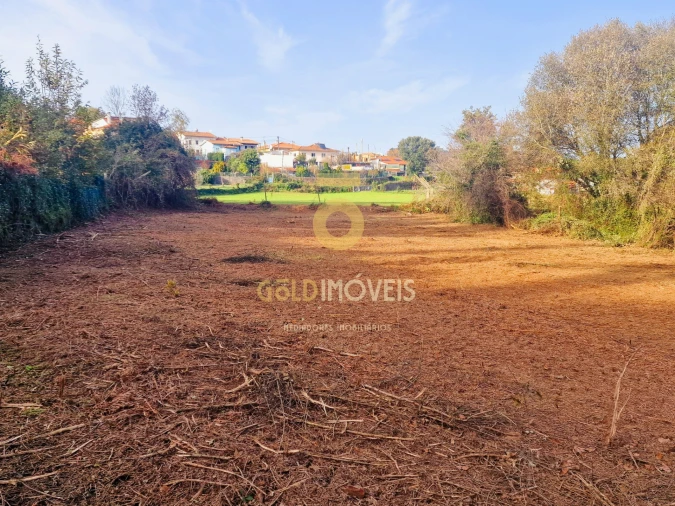 Terreno Agricola ou Rústico para Venda em Vila de Cucujães Foto 11