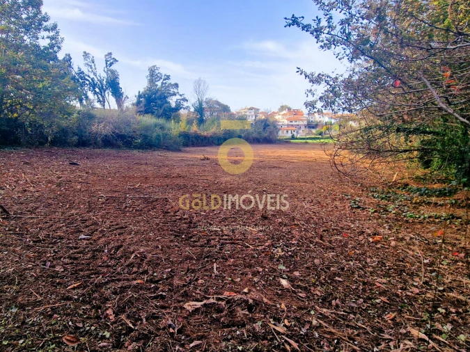 Terreno Agricola ou Rústico para Venda em Vila de Cucujães Foto 3