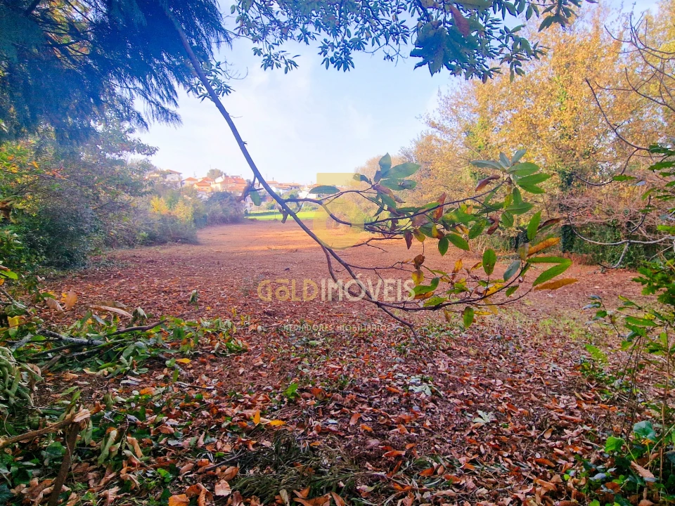 Terreno Agricola ou Rústico para Venda em Vila de Cucujães Foto 2