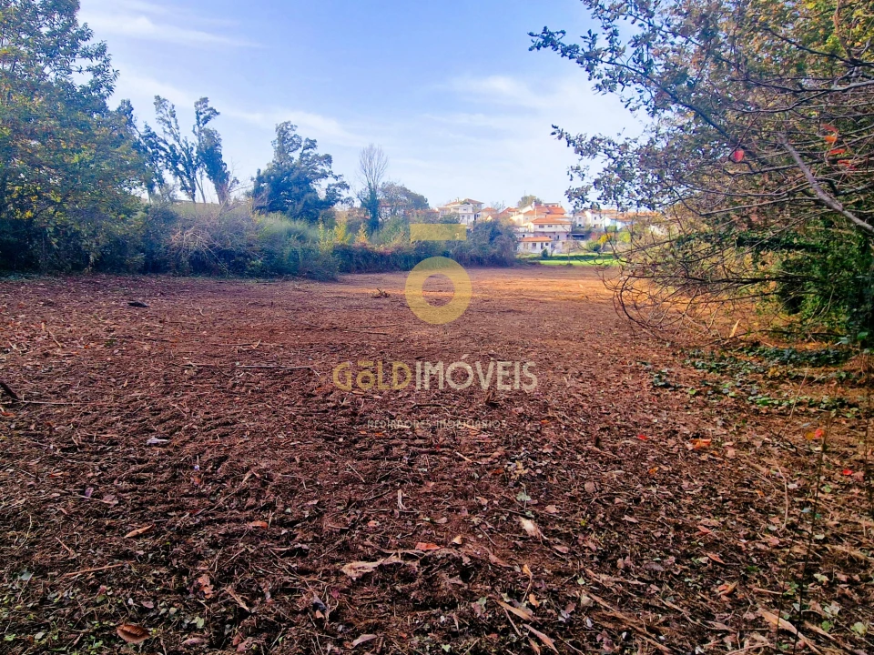 Terreno Agricola ou Rústico para Venda em Vila de Cucujães Foto 3