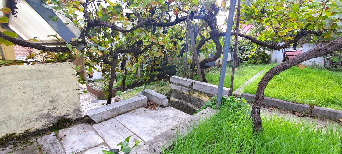 Moradia T5 para Venda em Miranda do Douro Foto 64