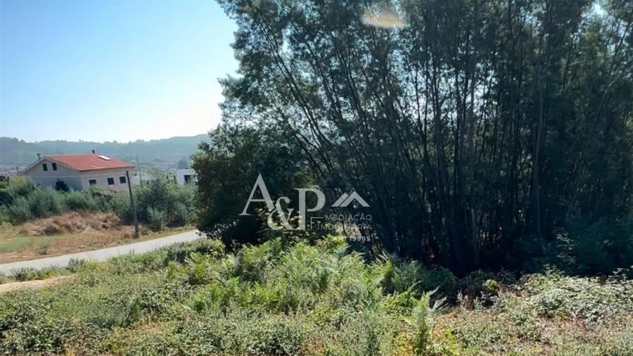 Terreno para Venda em Bodiosa