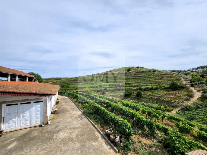 Negócio para Venda em Santa Eugenia Foto 29