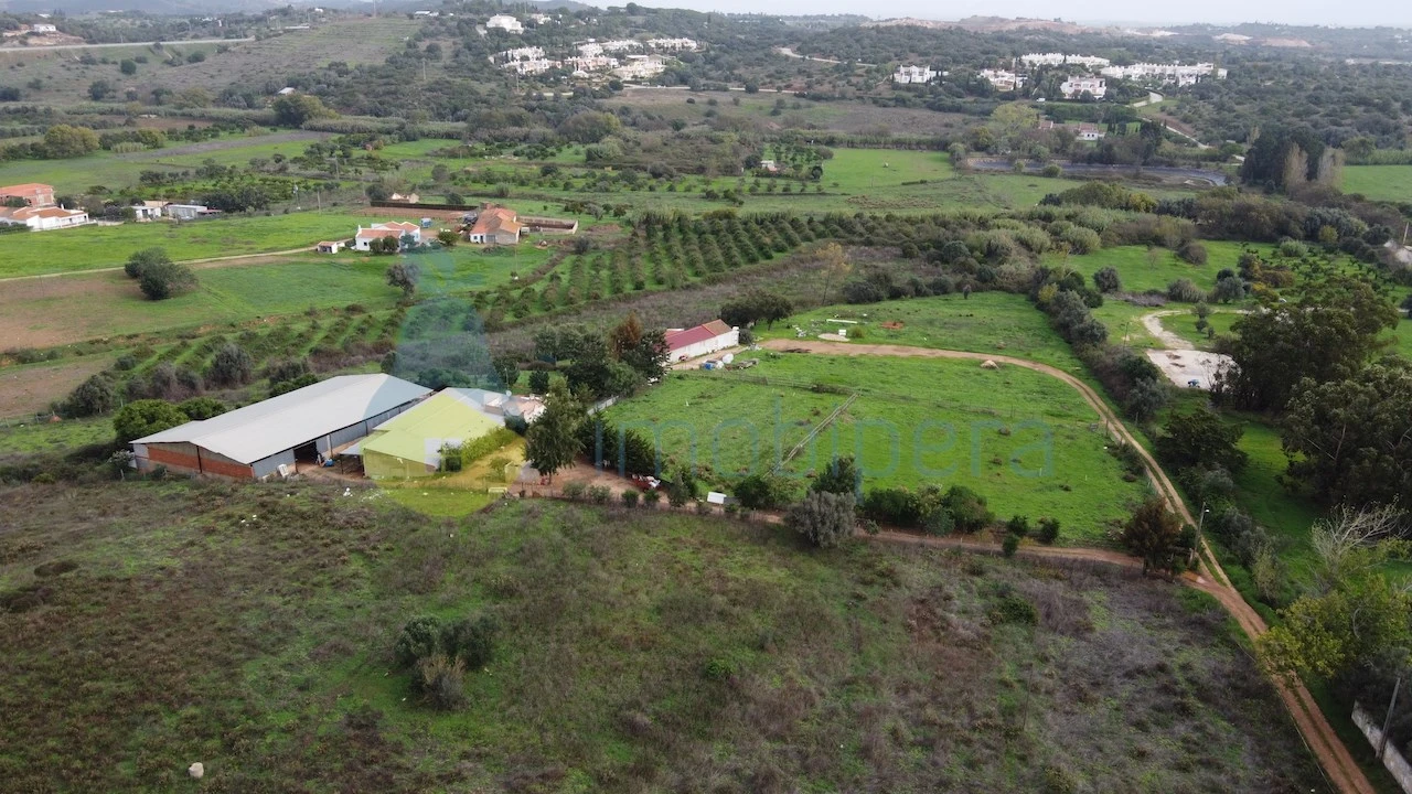Terreno para Venda em Odiaxere Foto 12