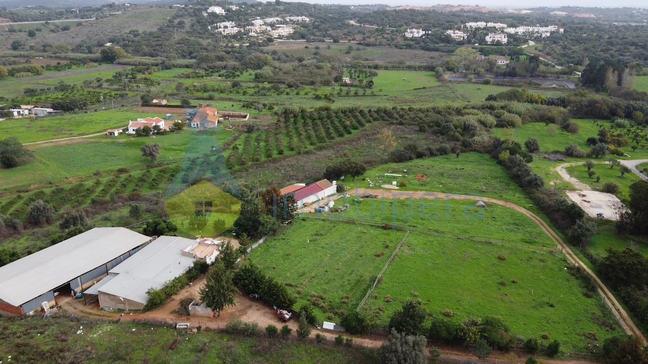 Terreno para Venda em Odiaxere Foto 13