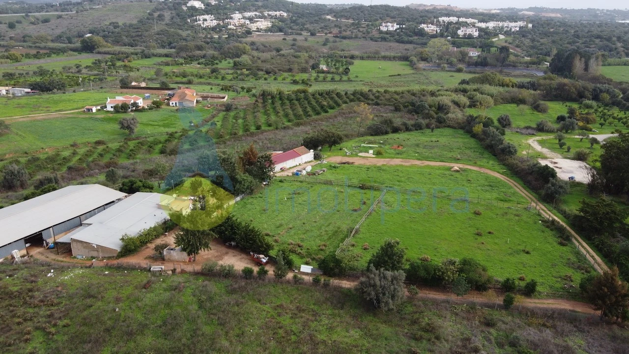 Terreno para Venda em Odiaxere Foto 15