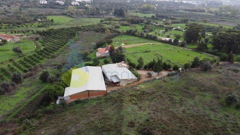 Terreno para Venda em Odiaxere