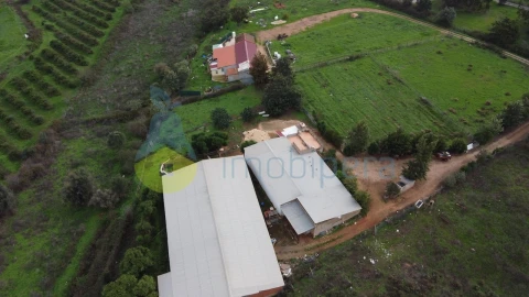 Terreno para Venda em Odiaxere