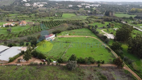 Terreno para Venda em Odiaxere
