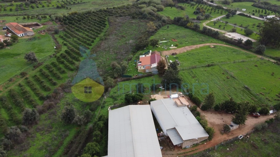 Terreno para Venda em Odiaxere Foto 4