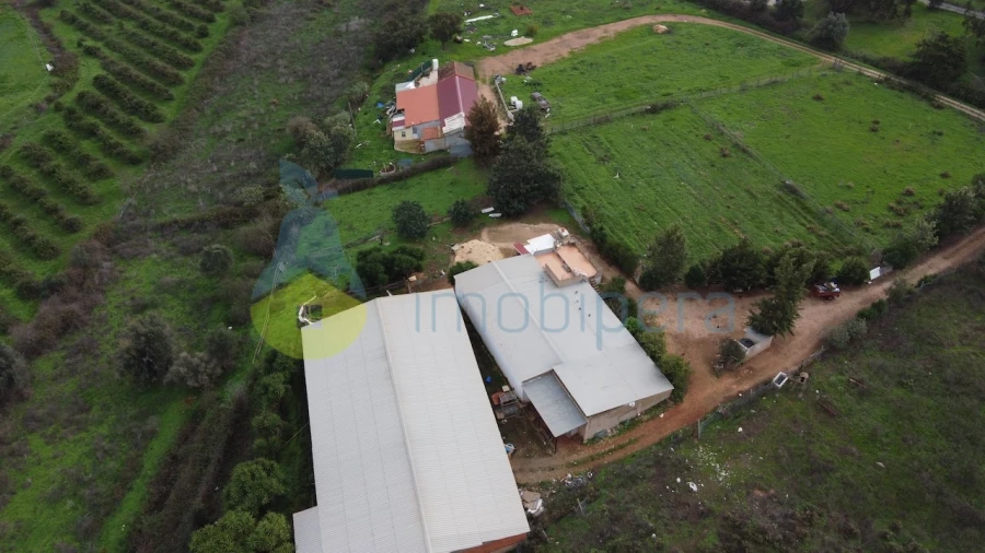 Terreno para Venda em Odiaxere Foto 7