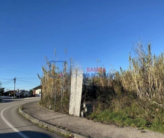 Terreno para Venda em Cernache