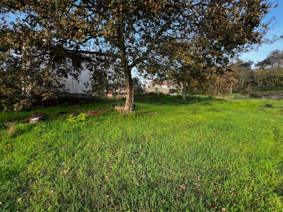 Terreno para Venda em Amarante (São Gonçalo), Madalena, Cepelos e Gatão Foto 6