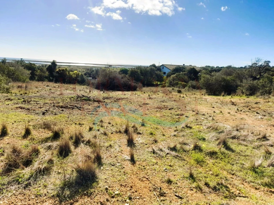 Terreno Agricola ou Rústico para Venda em Moncarapacho e Fuseta Foto 9