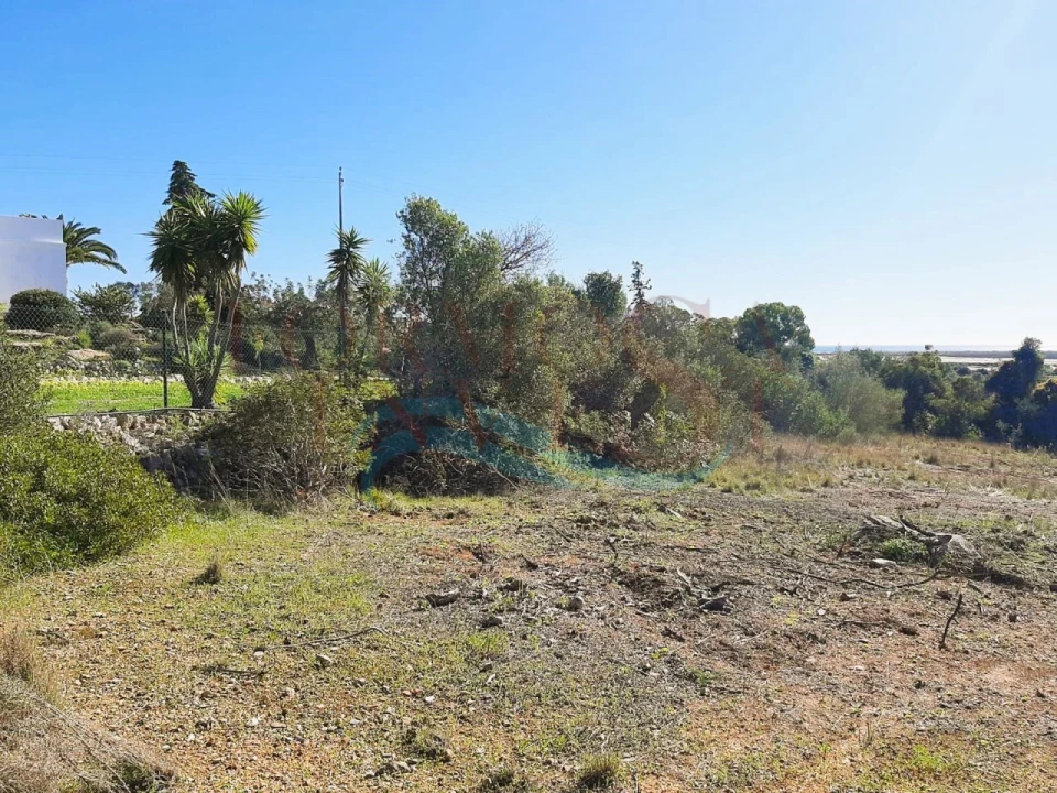 Terreno Agricola ou Rústico para Venda em Moncarapacho e Fuseta Foto 12