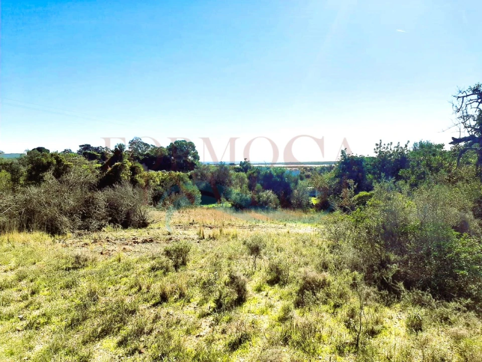 Terreno Agricola ou Rústico para Venda em Moncarapacho e Fuseta Foto 10